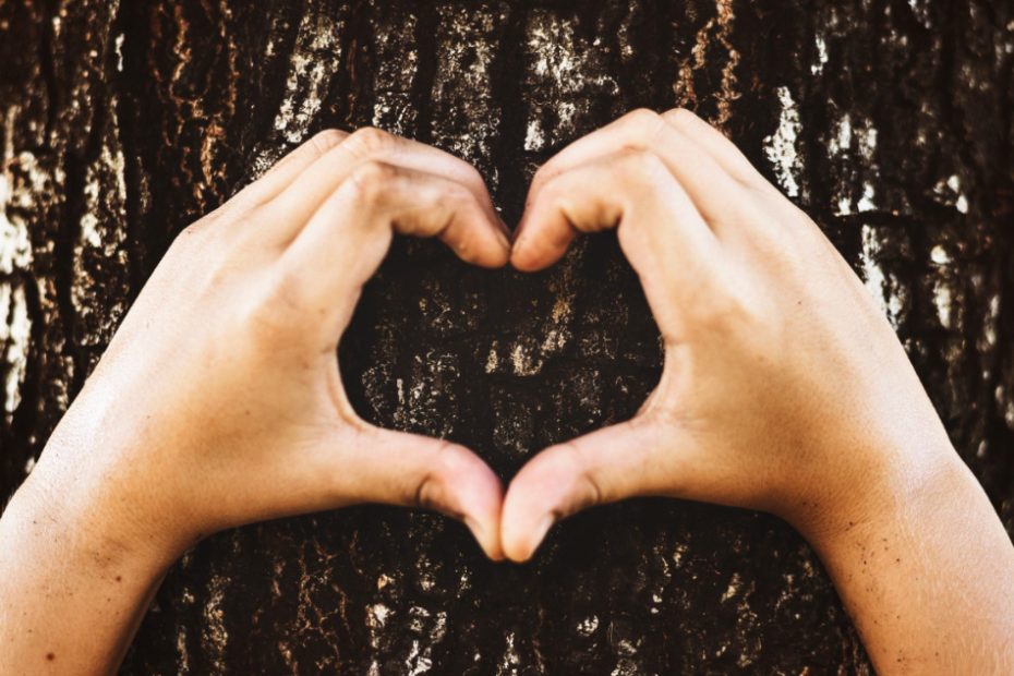 Mains enfant formant un coeur devant un tronc d'arbre