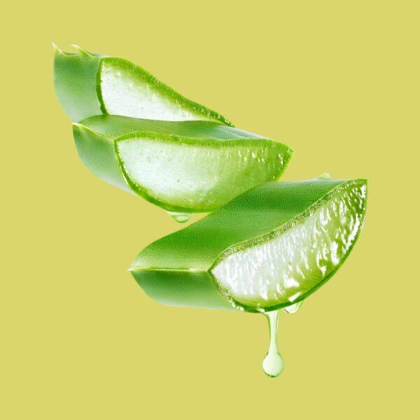 Box Beaute Hydratation Ultime - aloe vera